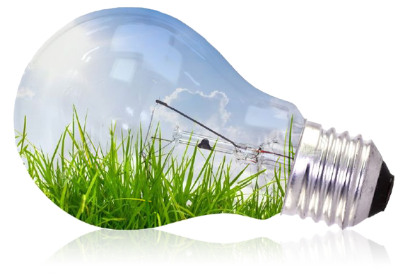 Bulb